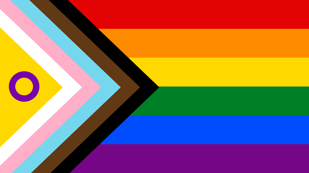 Inter* Inclusive Pride Flag 